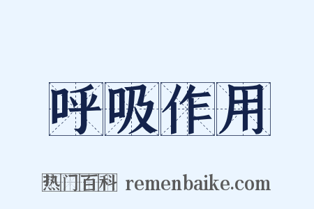 呼吸作用是什么意思的图片